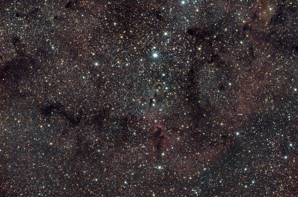 IC 1396 - Elephant's Trunk