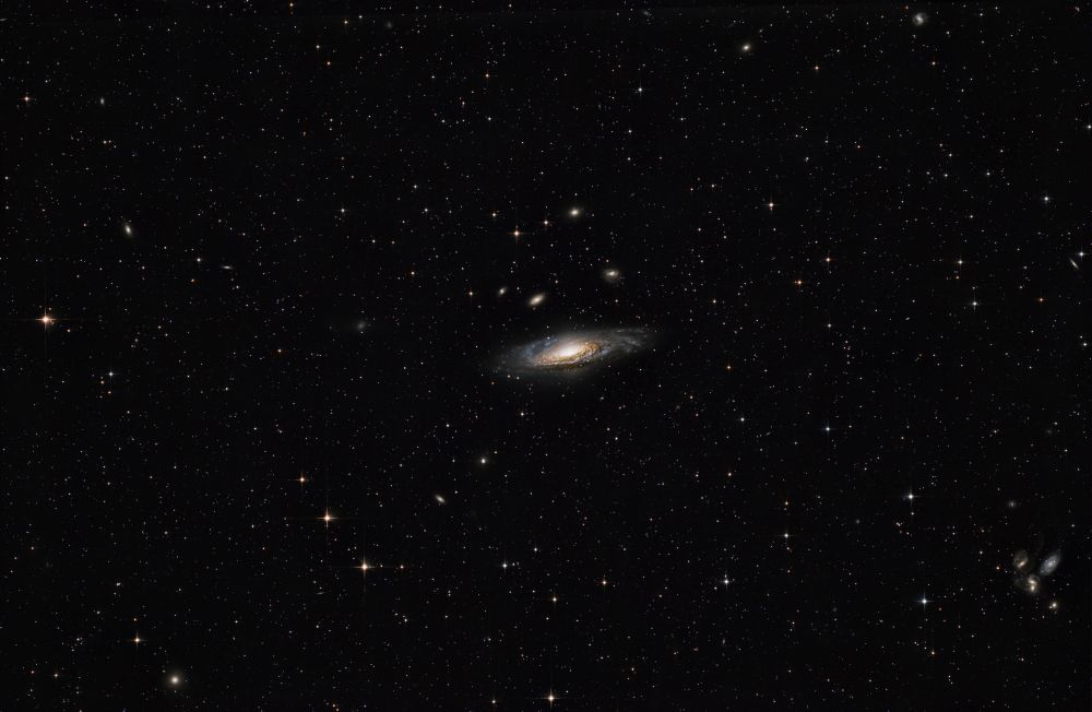 NGC7331