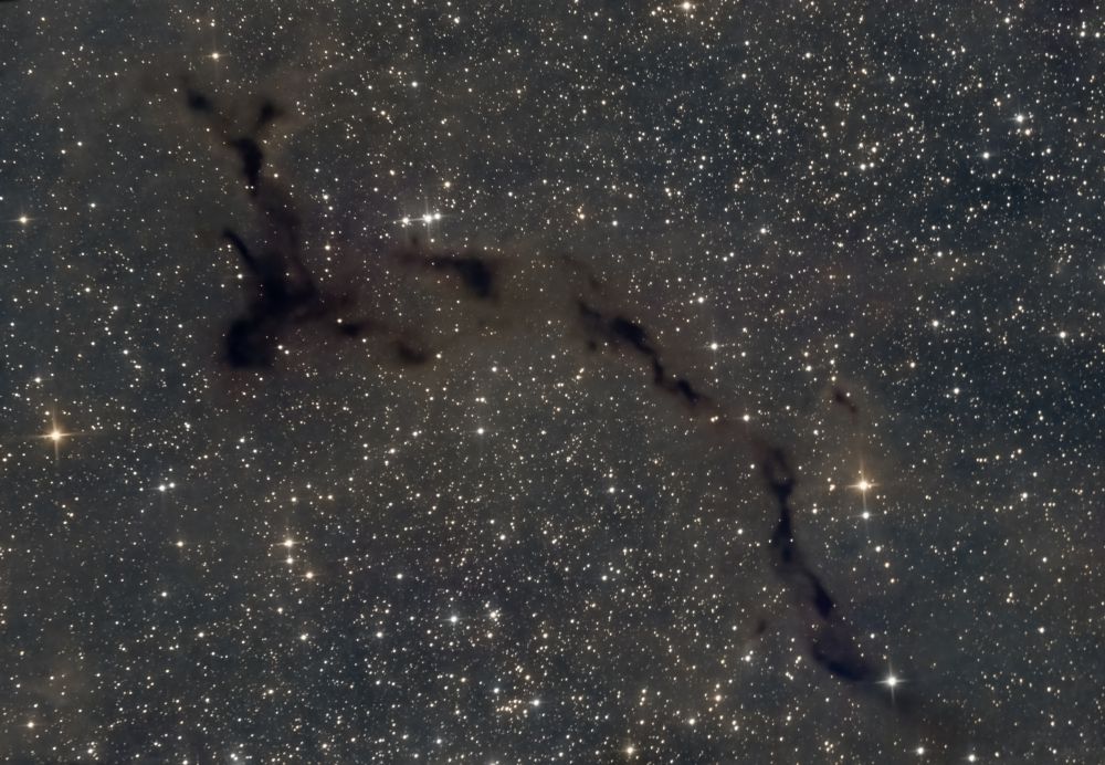 Тёмная туманность Barnard 150 "Морской Конёк"