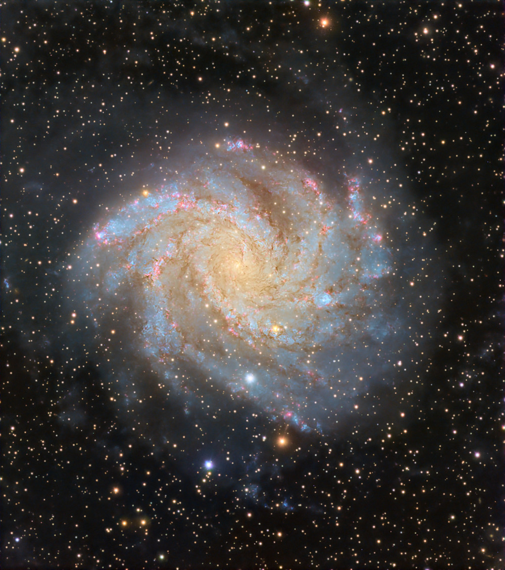 NGC6946 - Astrophotography