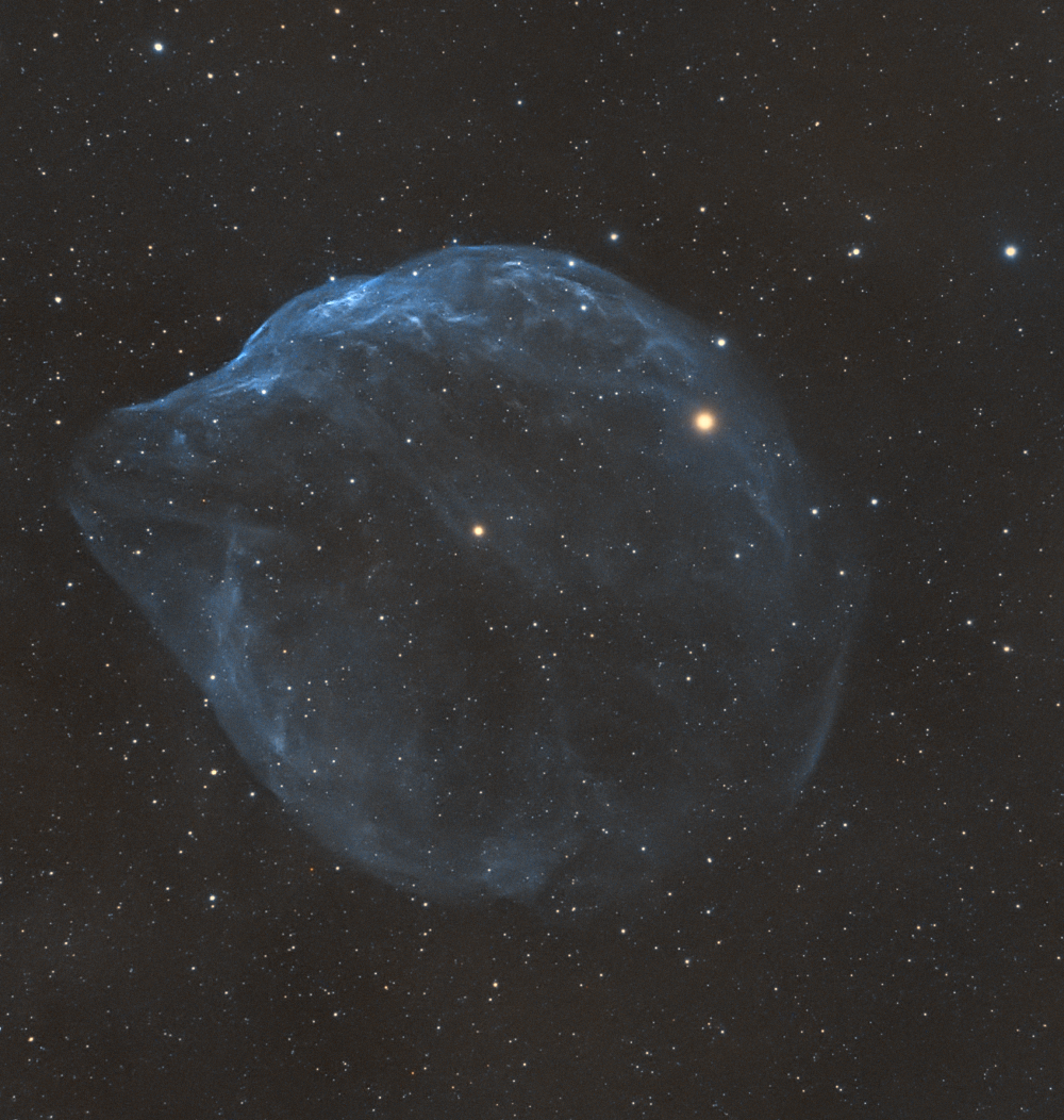 SH2-308: The Dolphin-Head Nebula