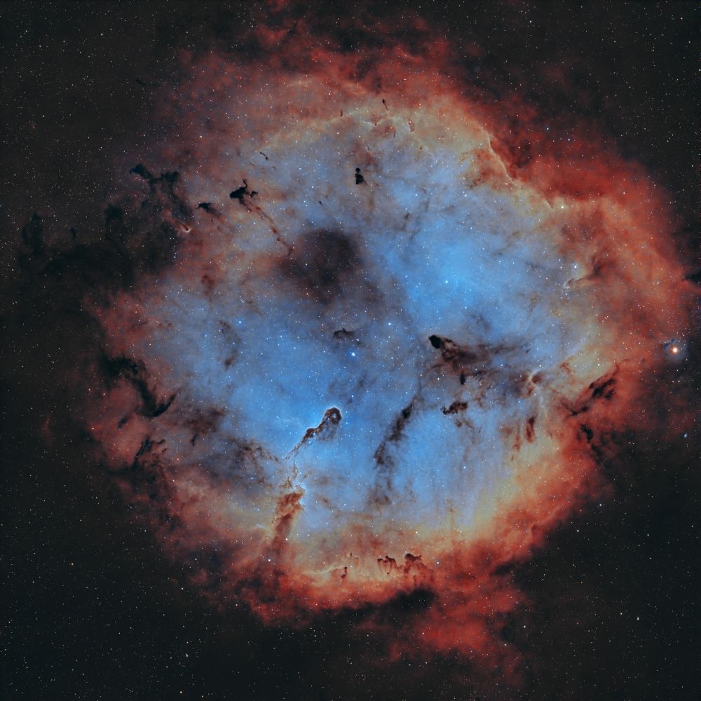 IC 1396