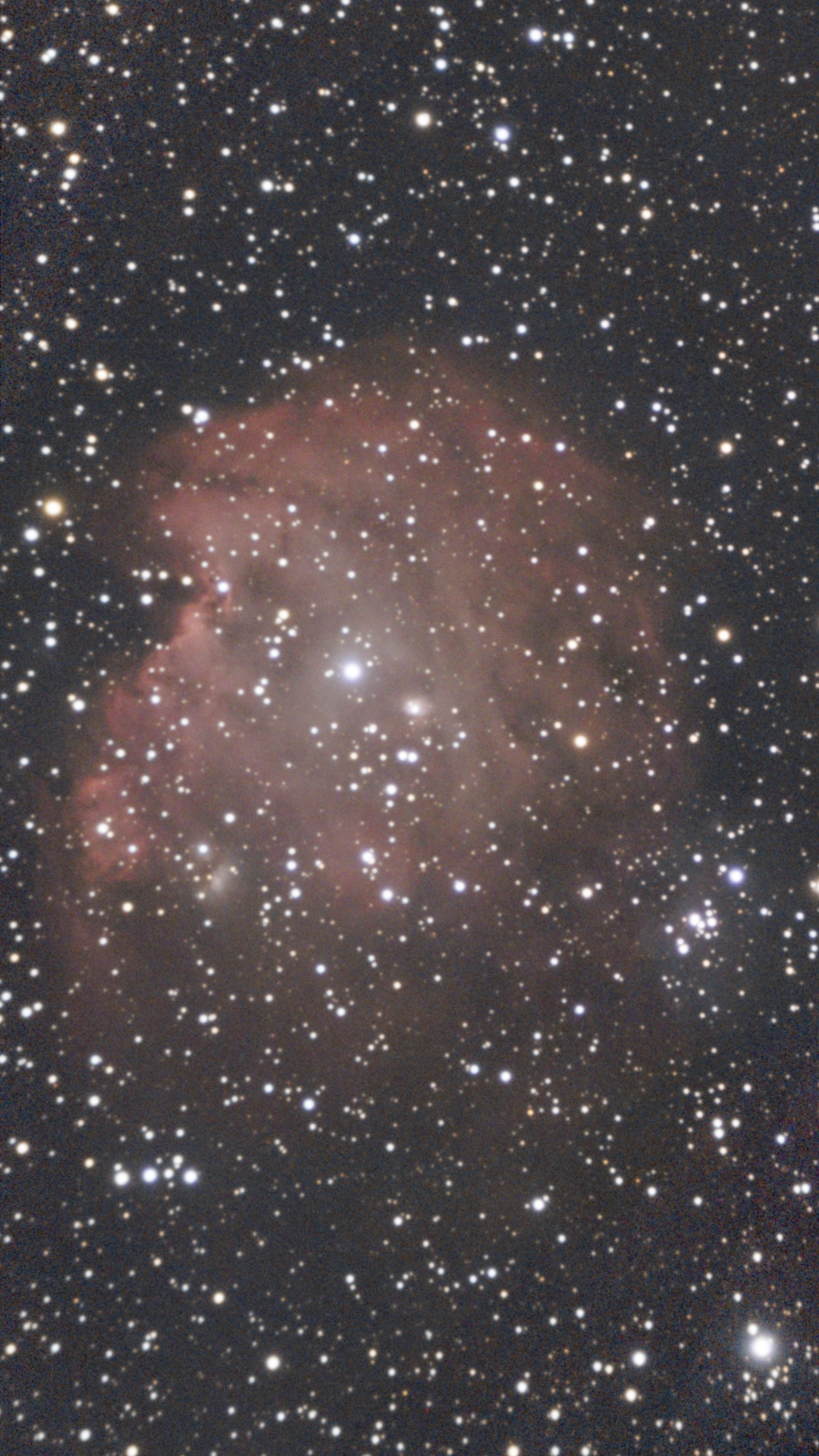 NGC 2174 Туманность Голова Обезьяны (Monkey Head Nebula)