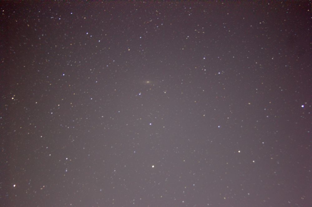 M31