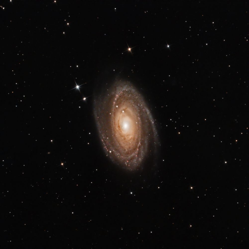 M81