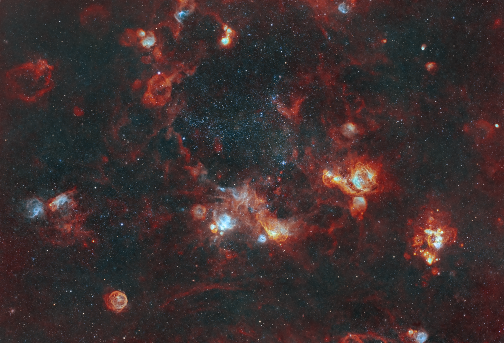 Cosmic Reef in the Large Magellanic cloud