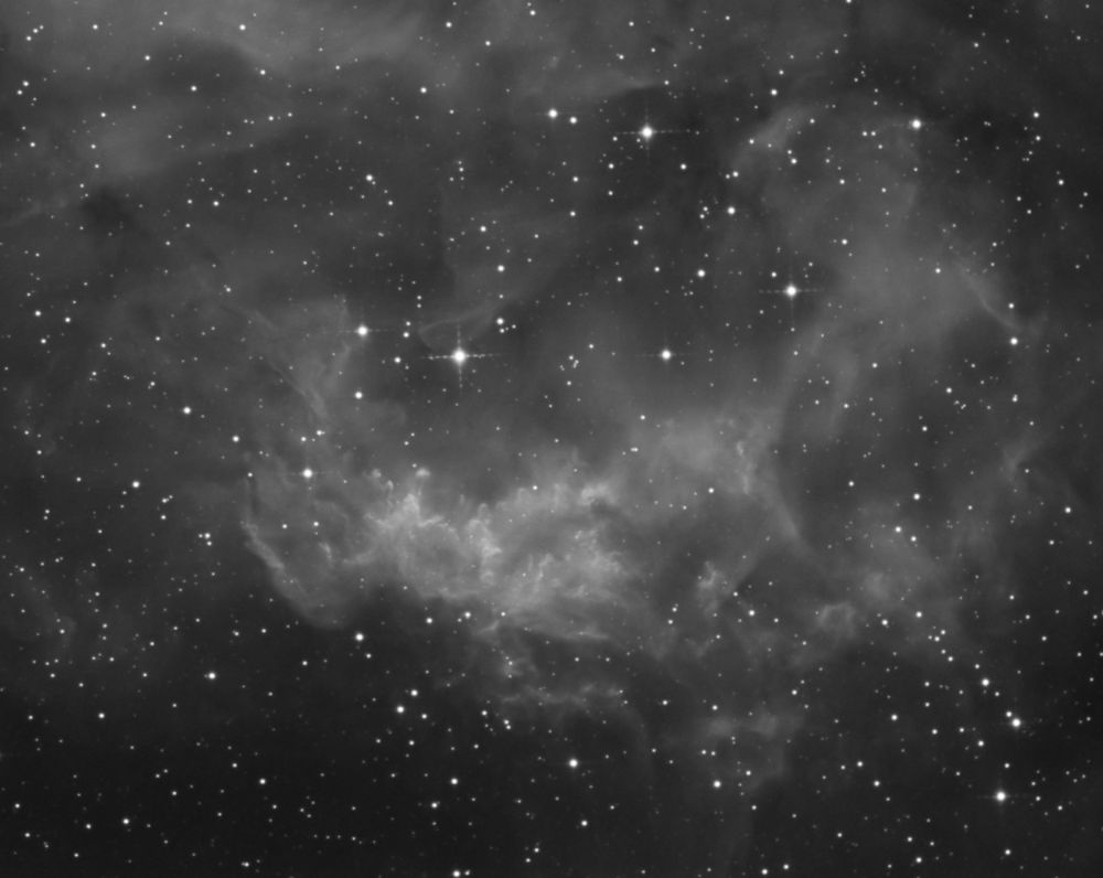 Lower's Nebula (Sh2-261) (crop)