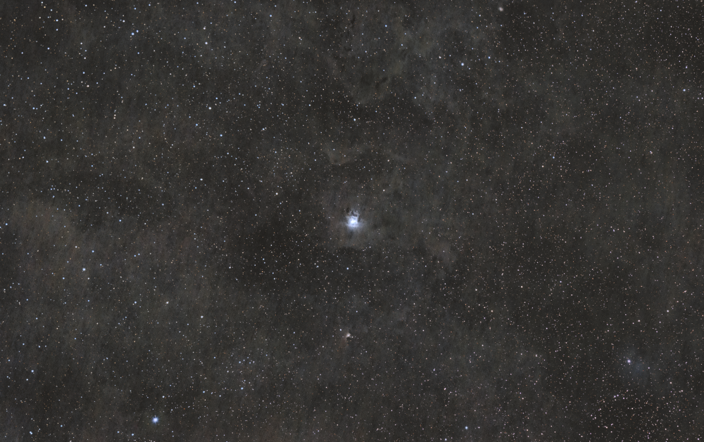 NGC 7023 Iris