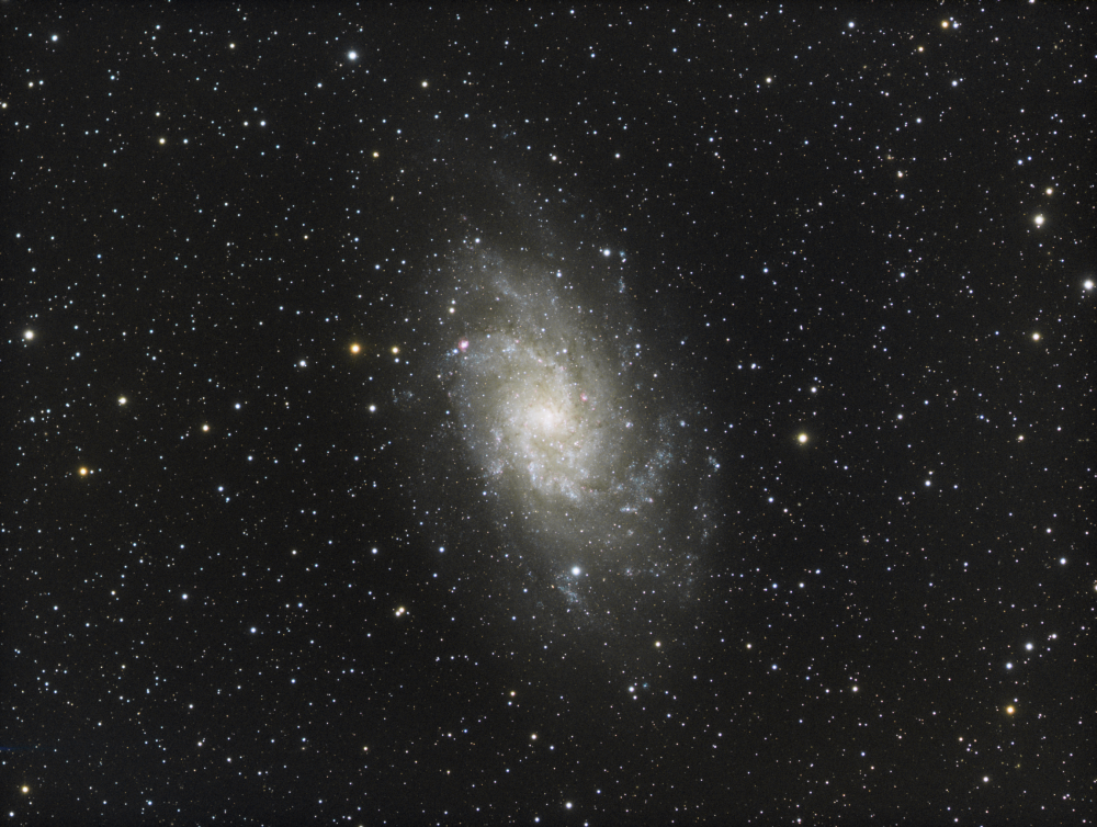 M 33 Triangulum Galaxy RGB