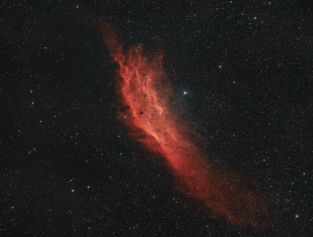The California Nebula (NGC 1499/Sh2-220)