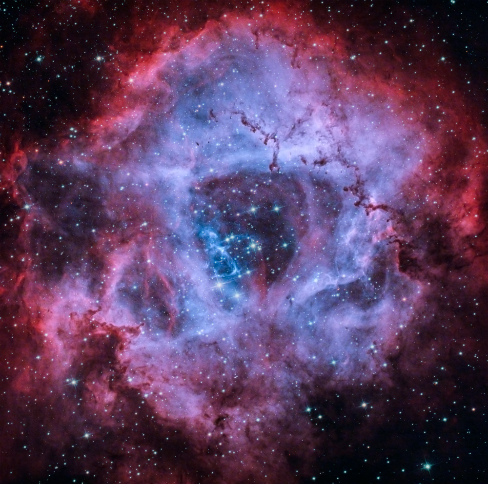 Rosetta Nebula