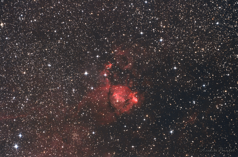 IC1795 aka The Fishhead Nebula