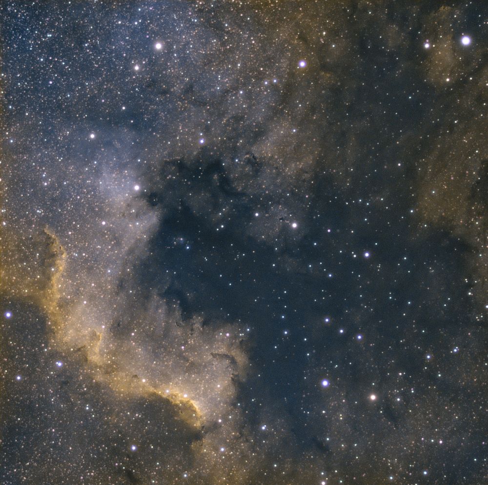 NGC7000