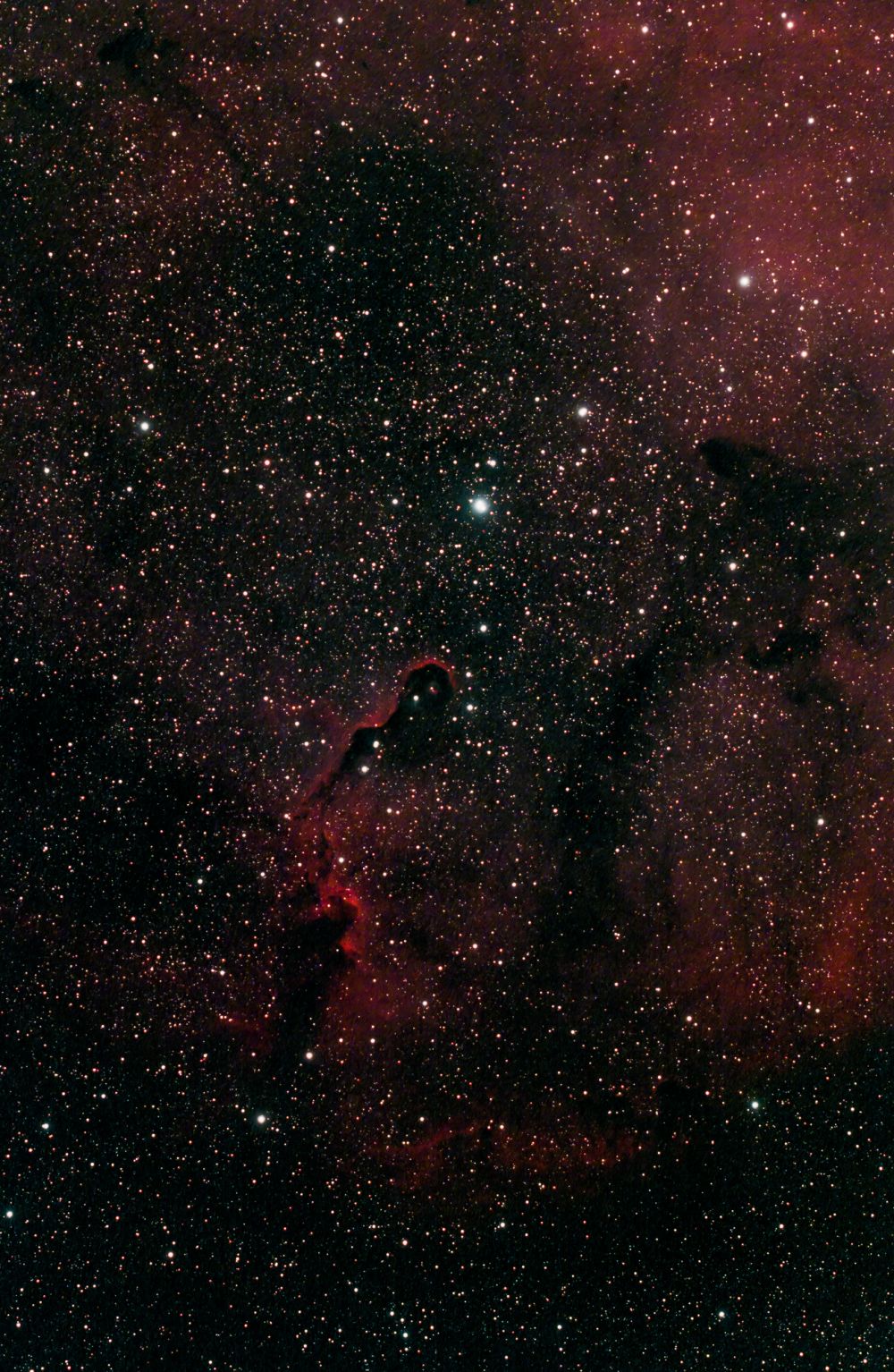  Туманность Хобот Слона (IC 1396A)