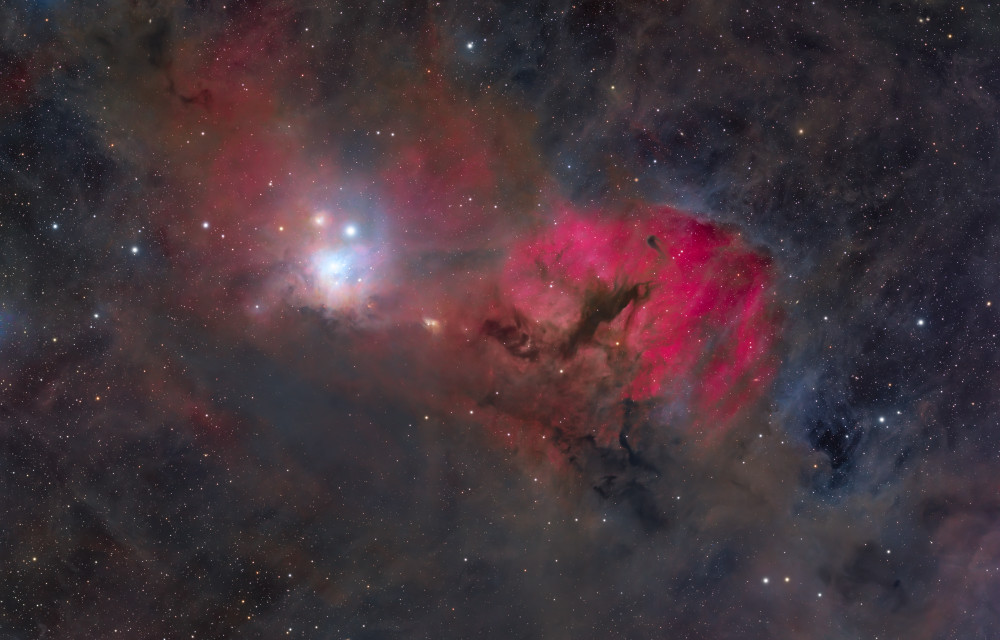 IC 348