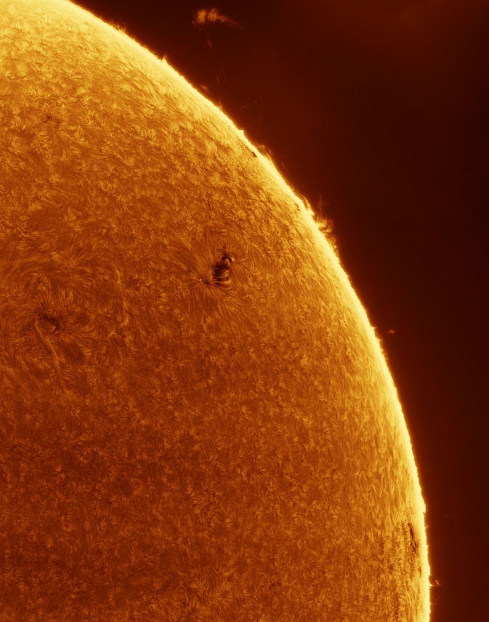 Панорама Солнца 13.06.2023 