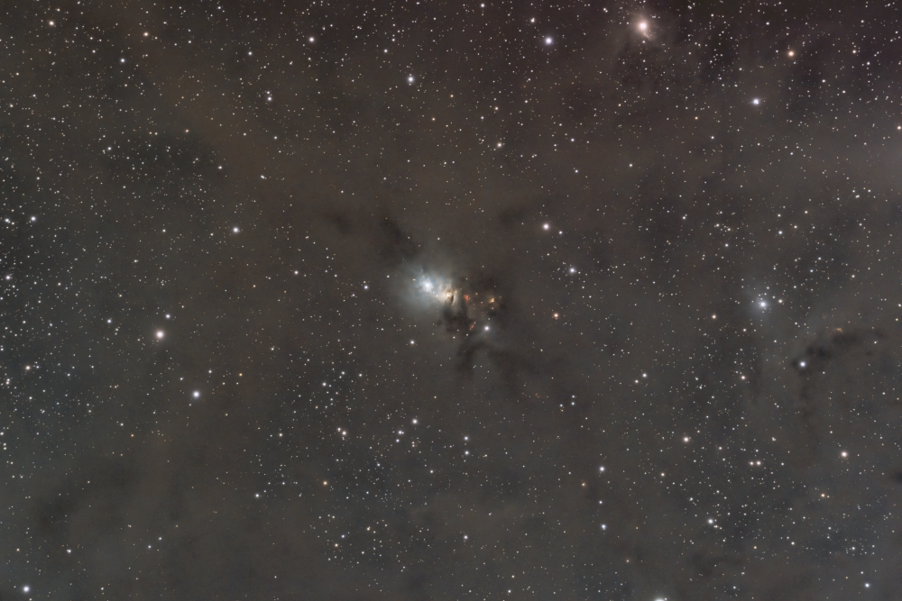 Туманность "Призрачная тиара" NGC 1333