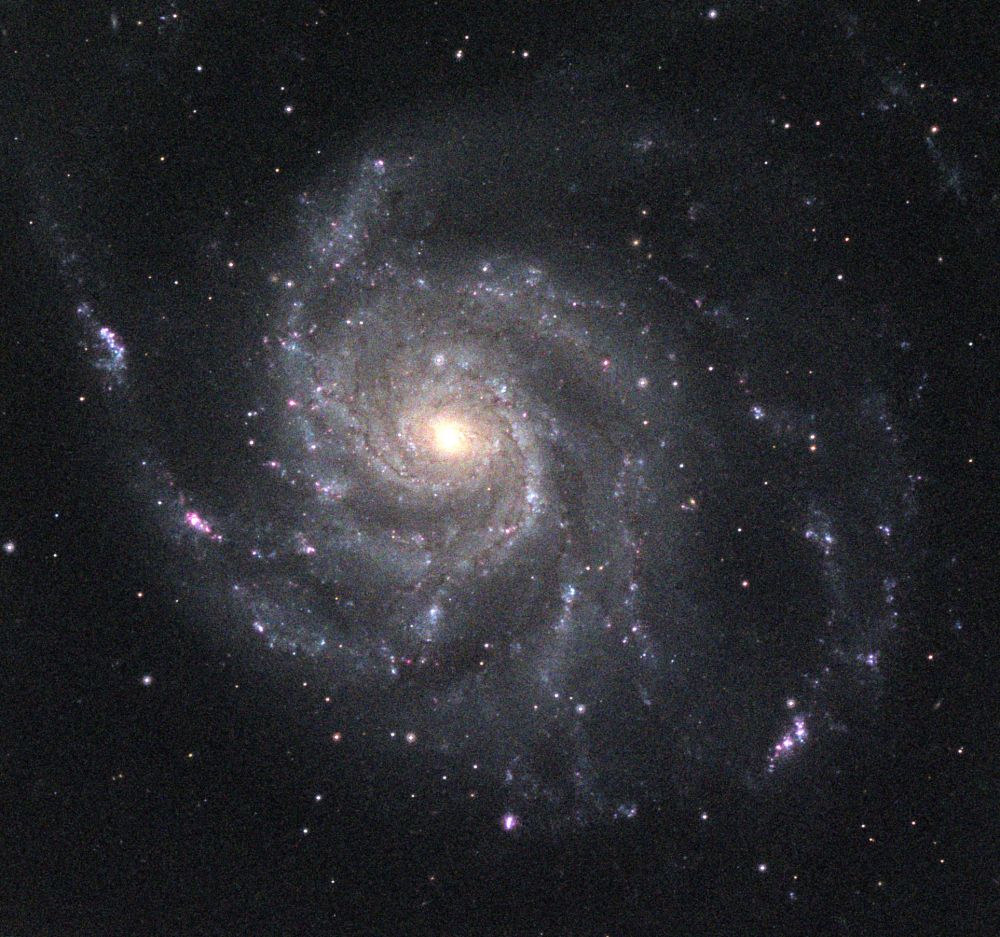 M101