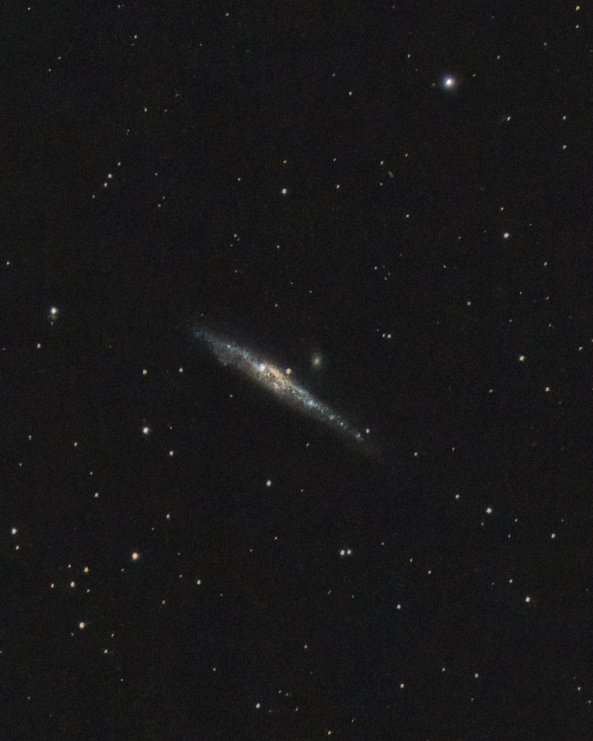 NGC 4631 - Whale Galaxy