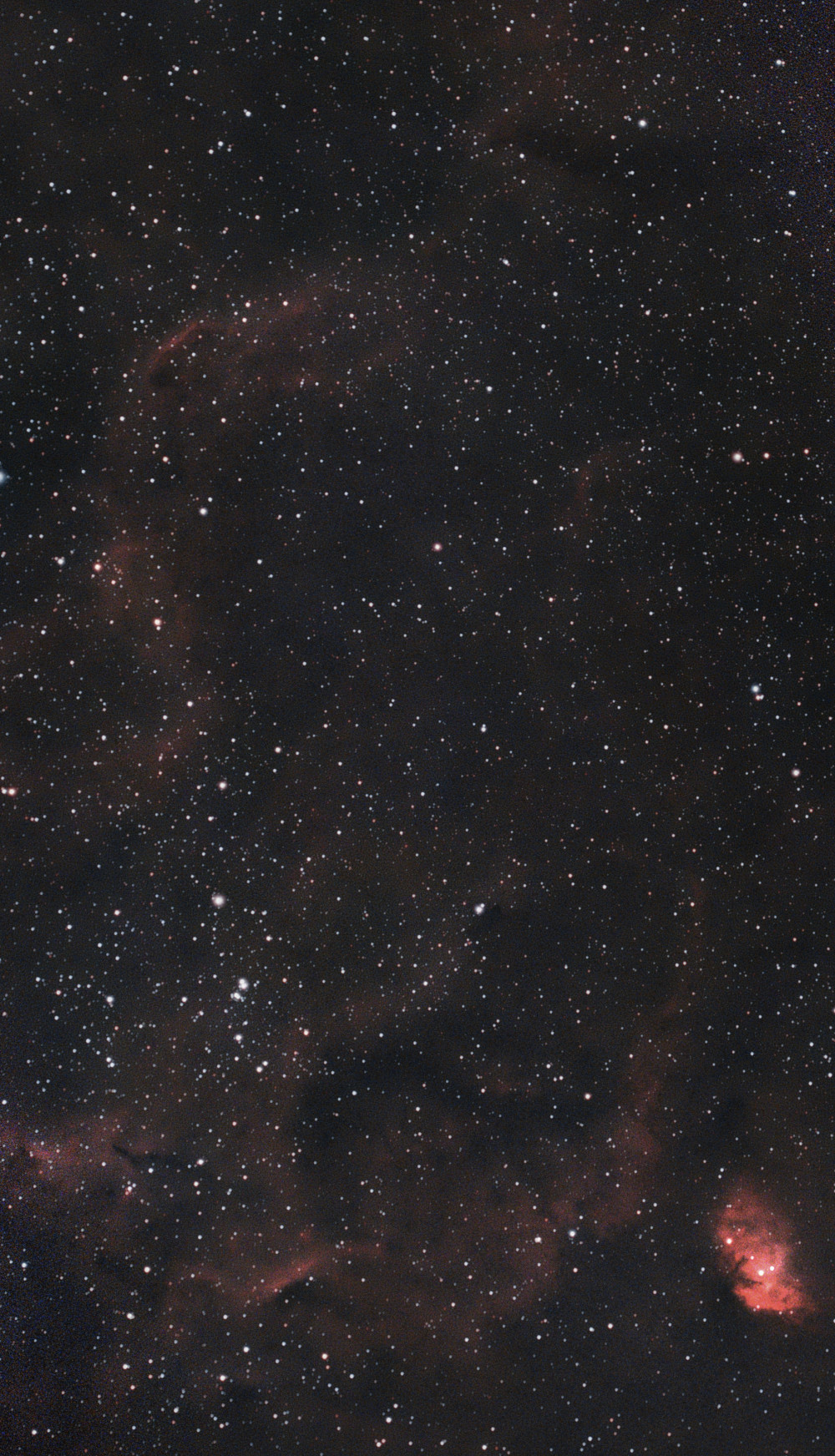 Sh2-101 and dust clouds near Cygnus X-1