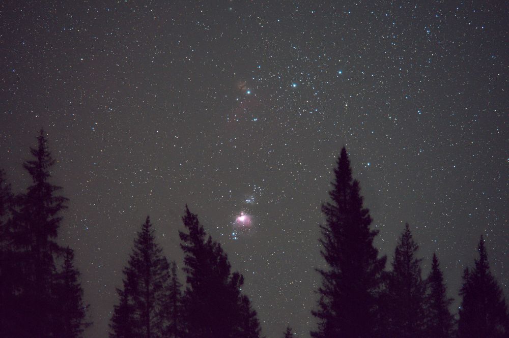 Landscape with Orion 14.02.2020
