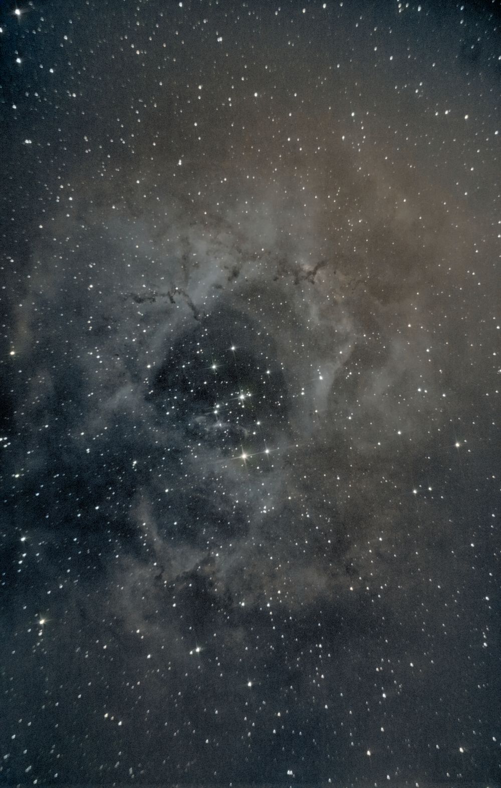 NGC 2244 Cluster abierto en la Nebulosa roseta roseta 