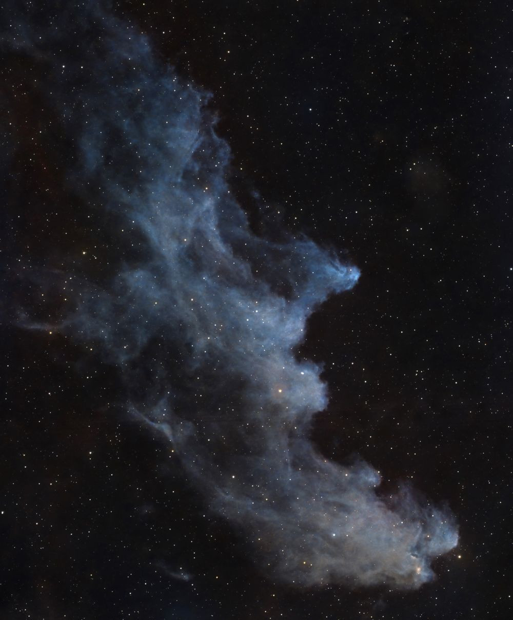 IC2118 The Witch of Eridanus - Astrophotography