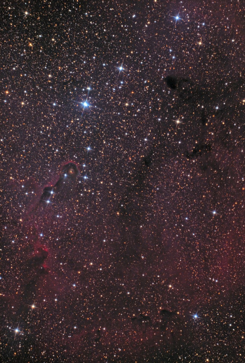 IC 1396, IC 1396A ("Туманность Хобот слона"), VdB 142, B 161