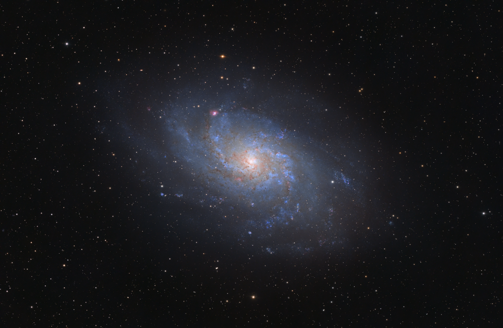 M33