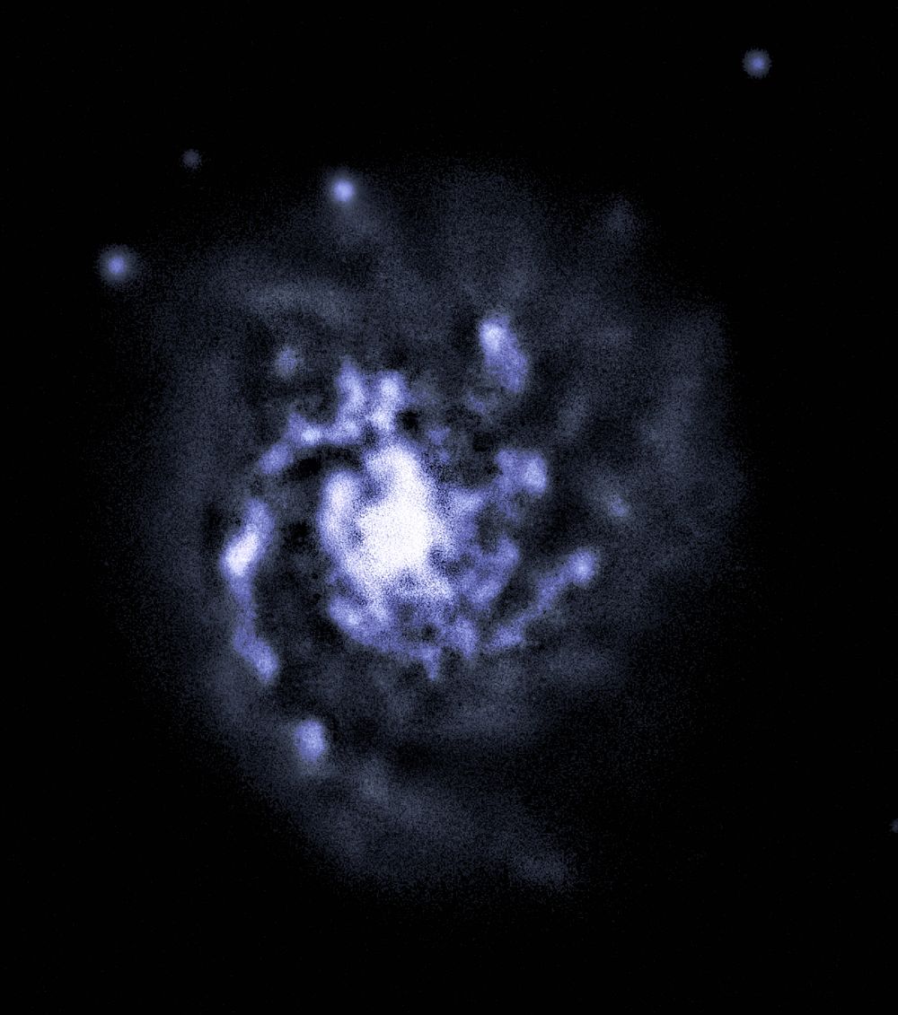 Спиральная галактика M99 (NGC 42) 27.04.2023