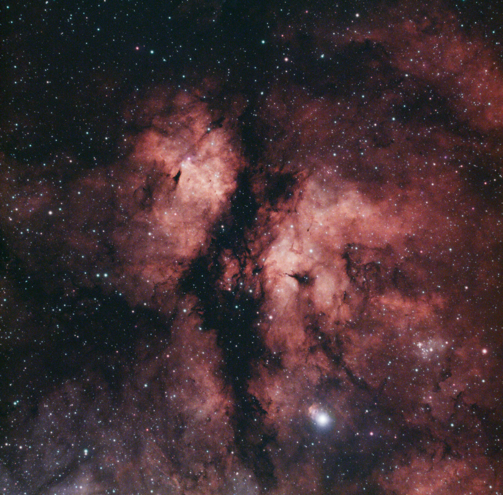 IC 1318 (Gamma Cygni nebula)