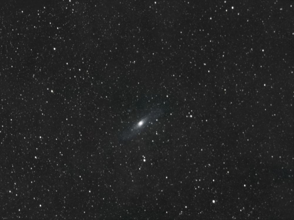 M 31 