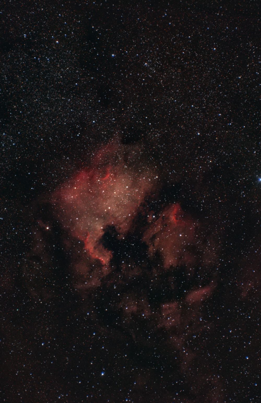 NGC 7000