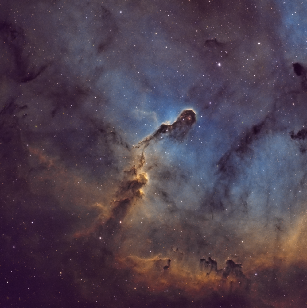 Elephant Trunk Nebula - IC 1396