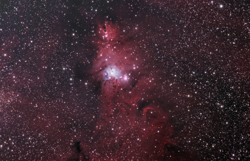 Кластер "Рождественская Ёлка" (NGC2264) в созвездии Единорога - астрофотография