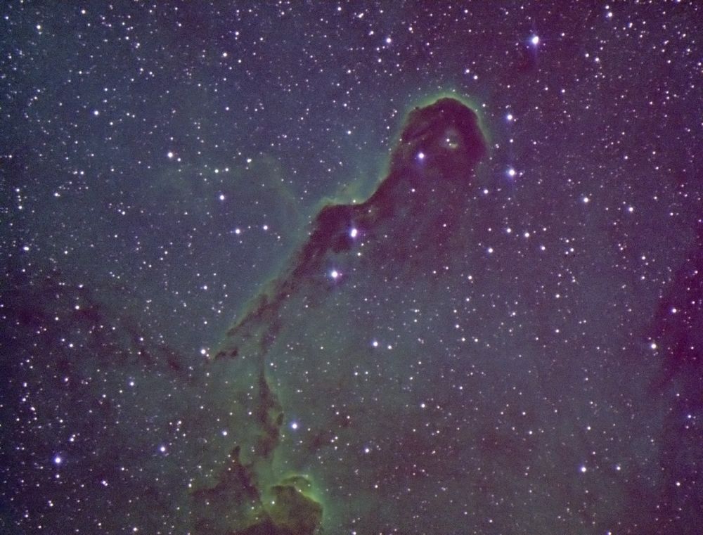 IC 1396A Хобот слона