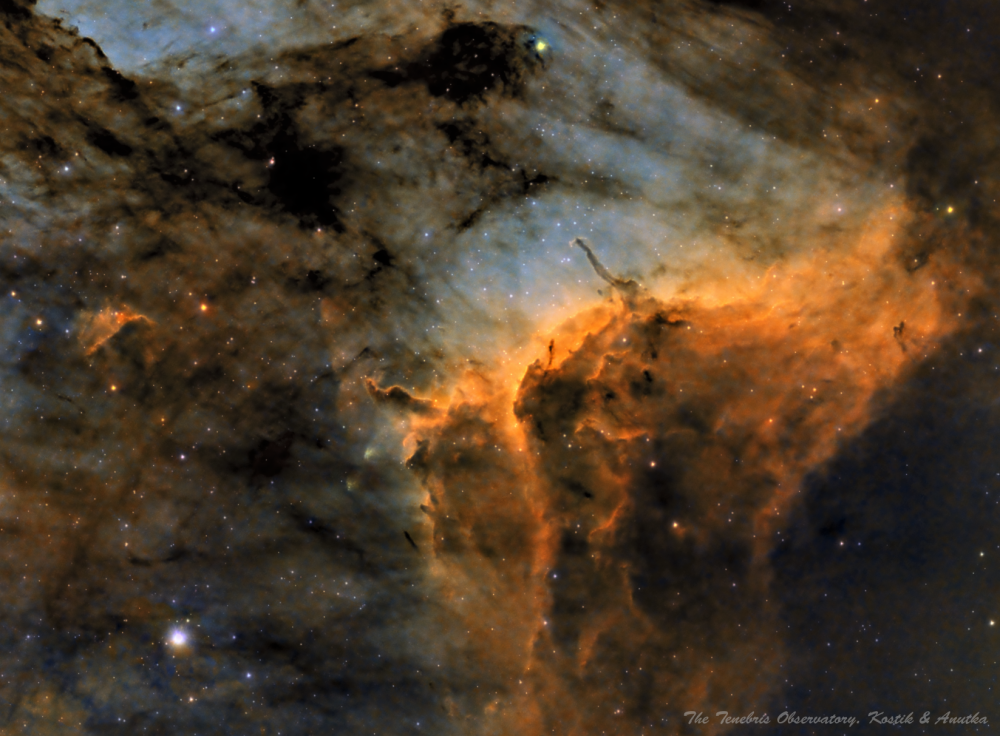 El Toro staring at 56Cyg in the Pelican nebula, IC5070