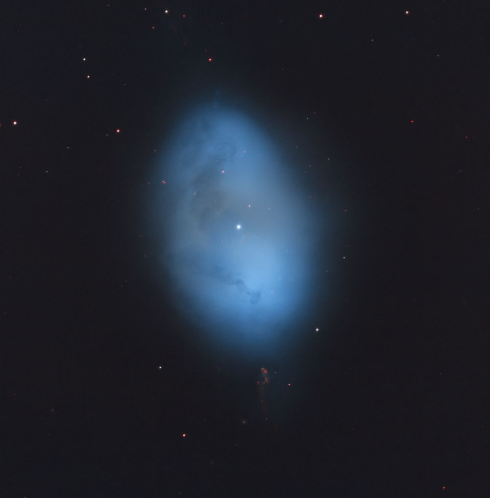 NGC1360