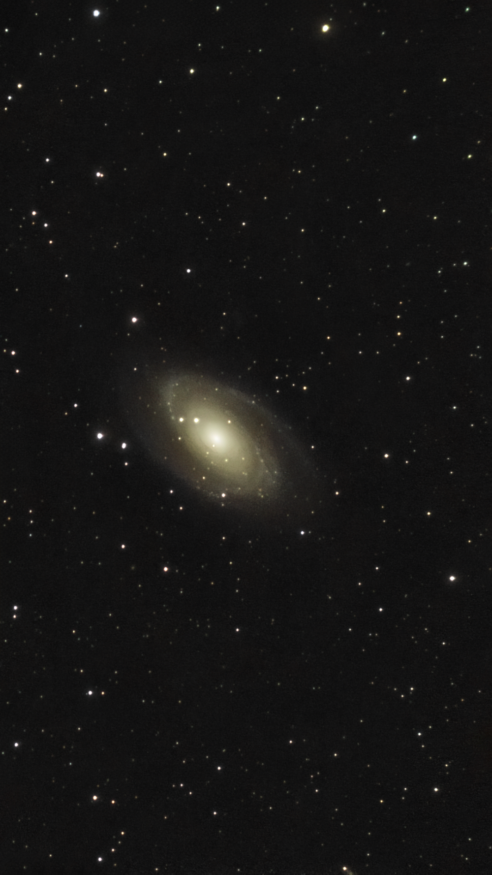 M81 - Bode's Galaxy