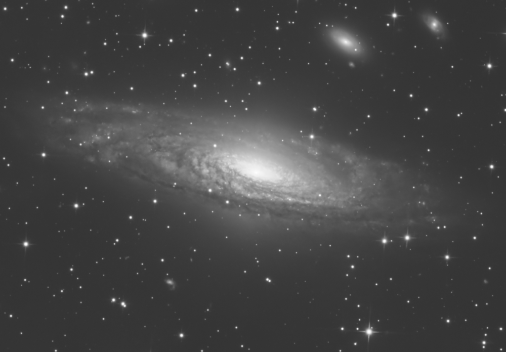 NGC7331