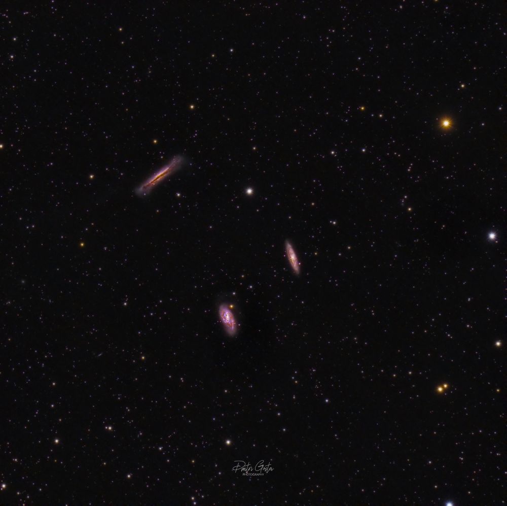Leo triplet M65, M66, NGC 3628.