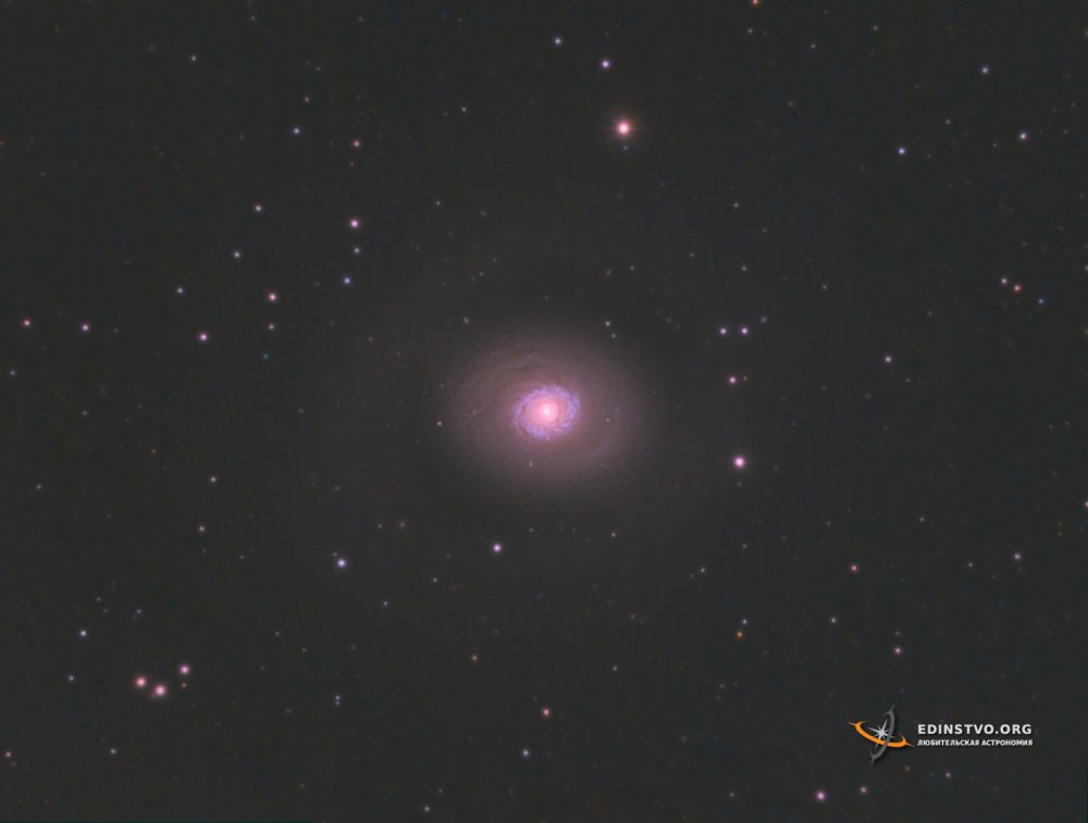 Галактика M94 в Гончих Псах