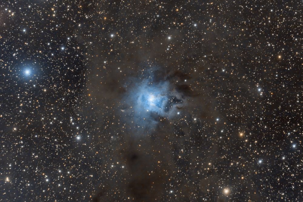 NGC7023 Ирис
