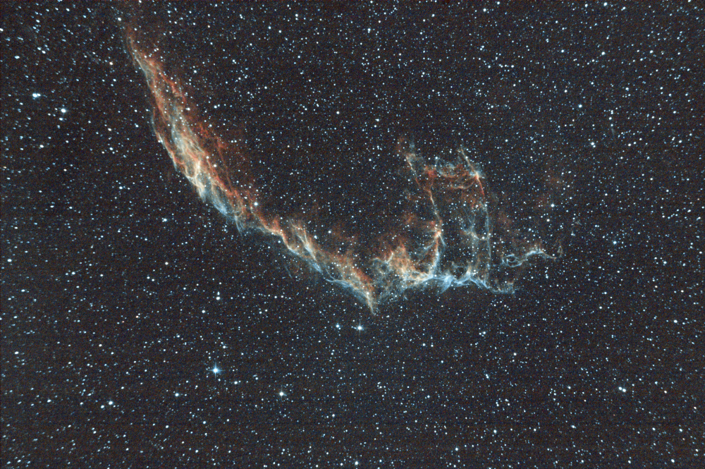 NGC 6995 - Вуаль