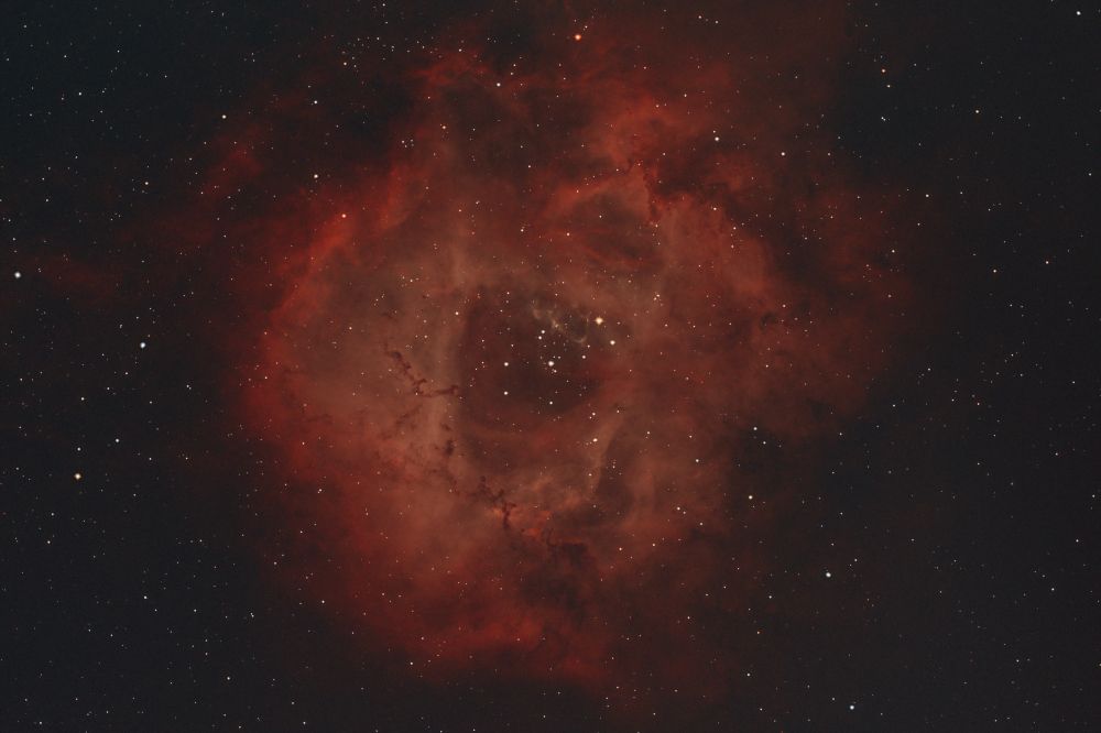 NGC2244 Туманность Розетка
