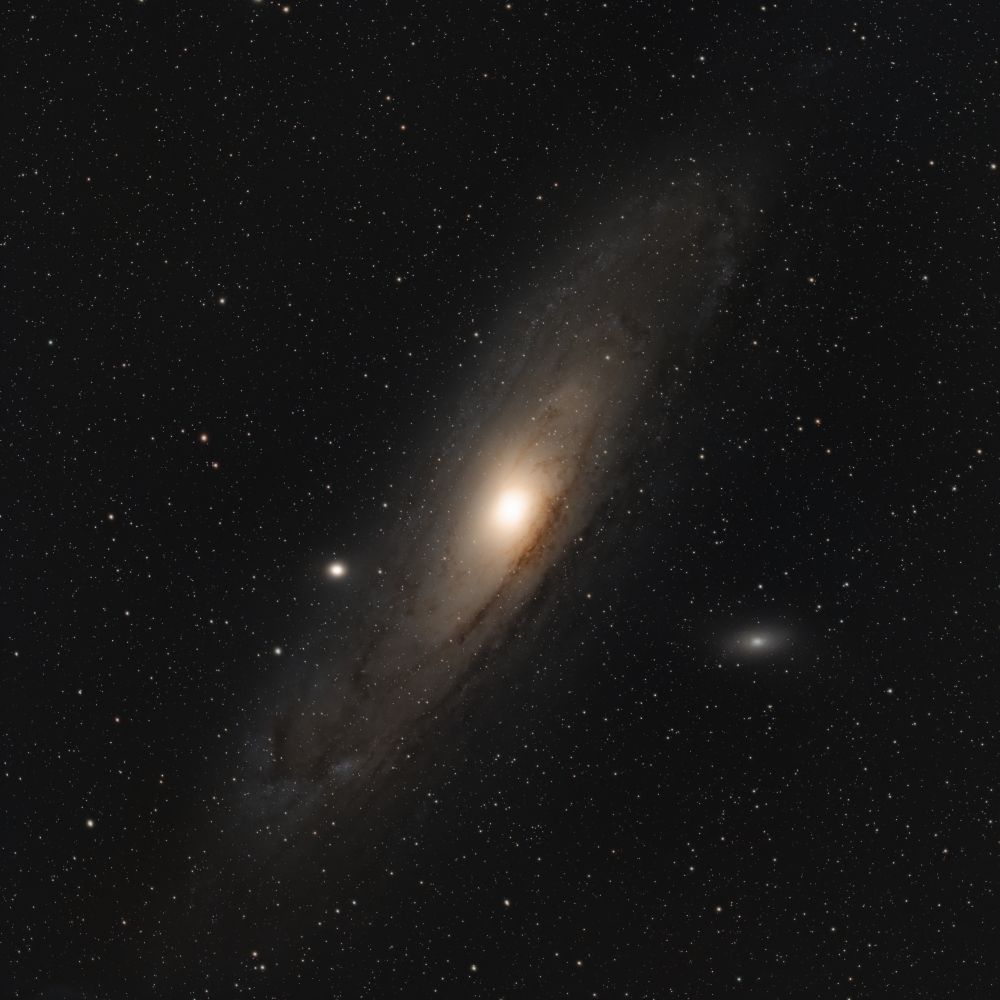 M31