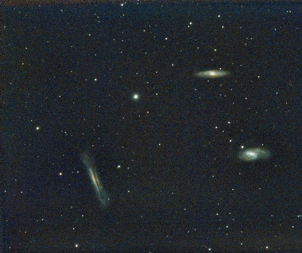 leo triplet M66, M65 NGC3628