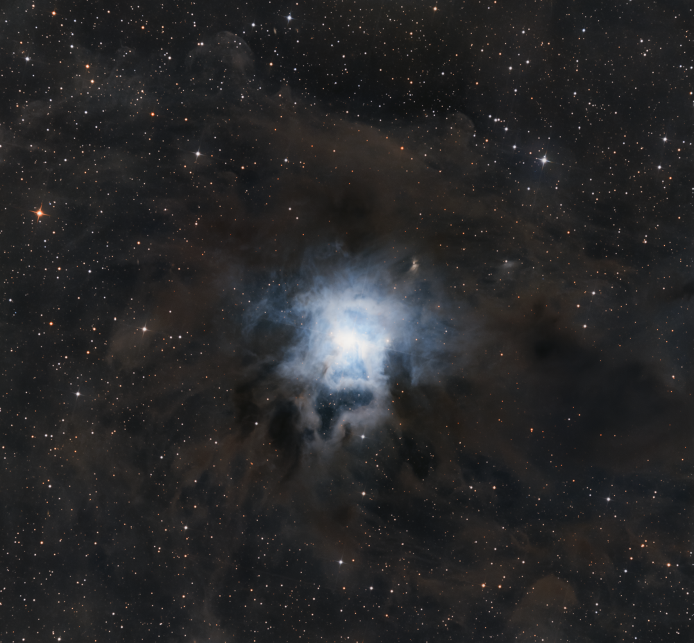 Iris Nebula (NGC7023)