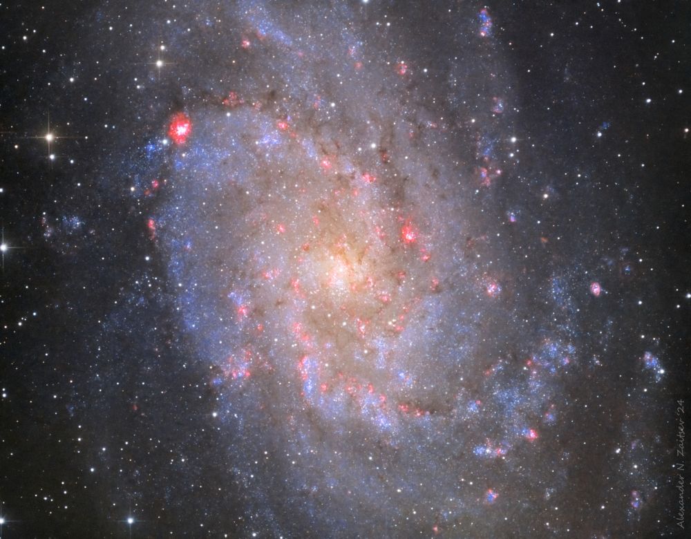 Галактика  М33 в HaLRGB