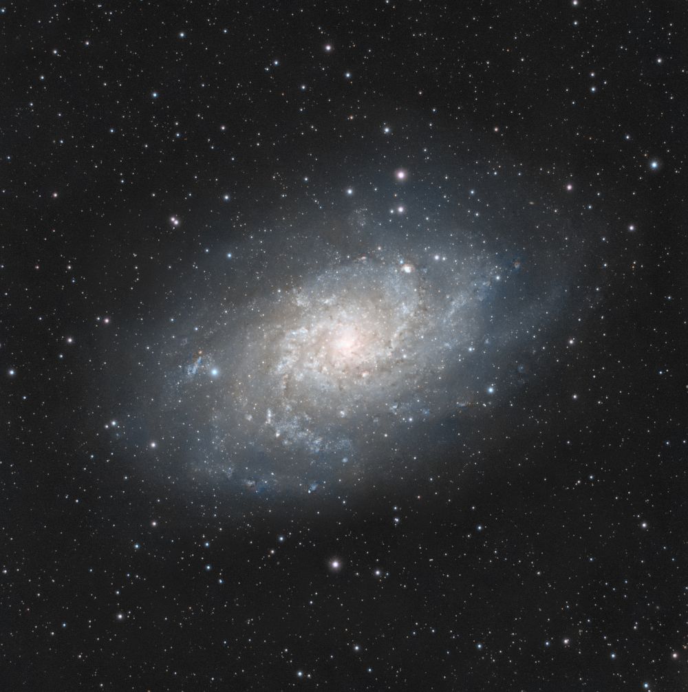 M33